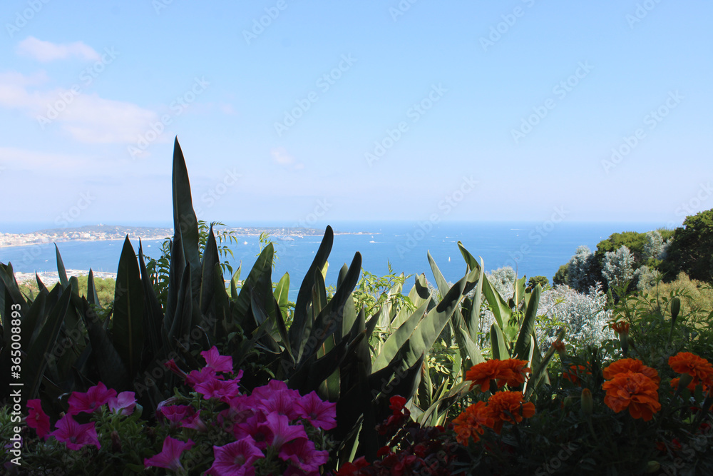 Panorama avec vue sur la mer et fleurs