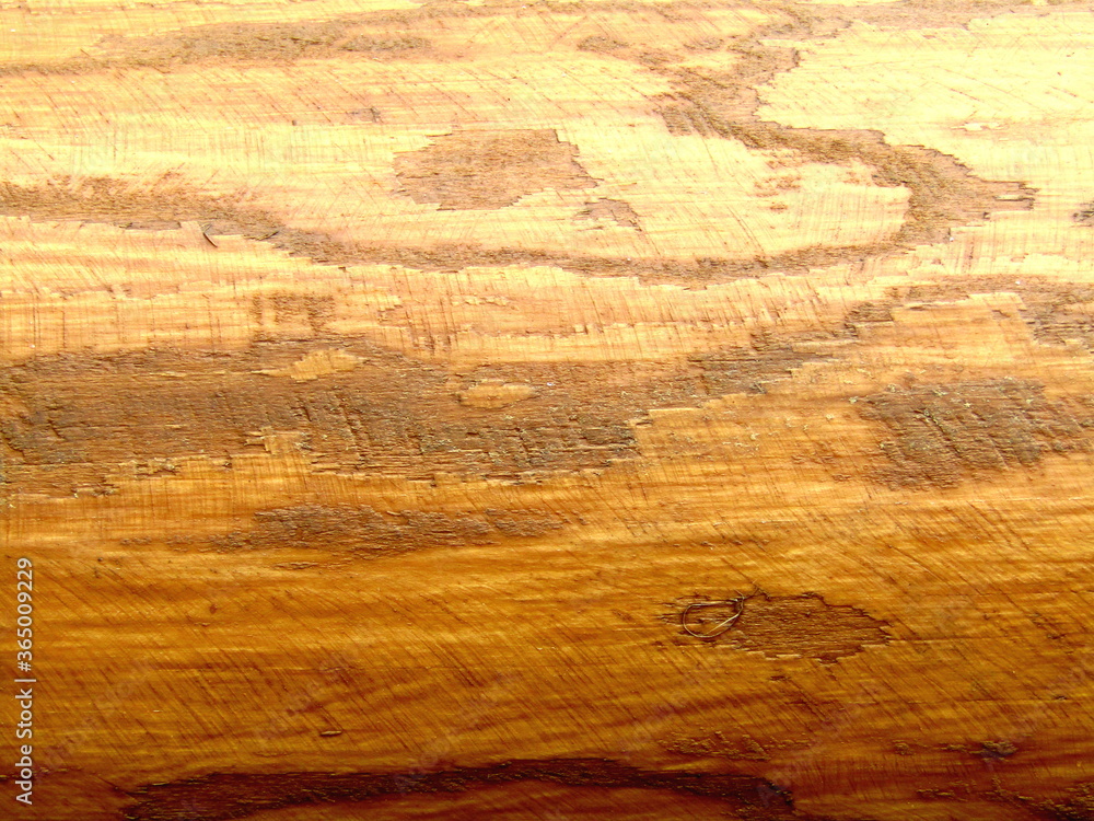 Fototapeta premium The texture of the wood stains timber stains background