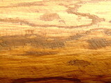 The texture of the wood stains timber stains background