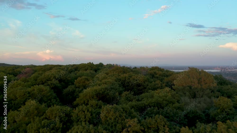 Drone view, flying above a forest revealing downtown Montreal at dusk Drone view, flying above a forest revealing downtown Montreal at dusk