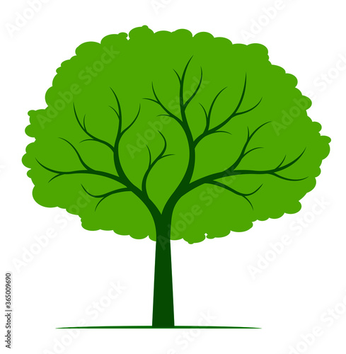 Shape of Tree with green leaves. Vector outline Illustration. Plant in Garden. EPS file.