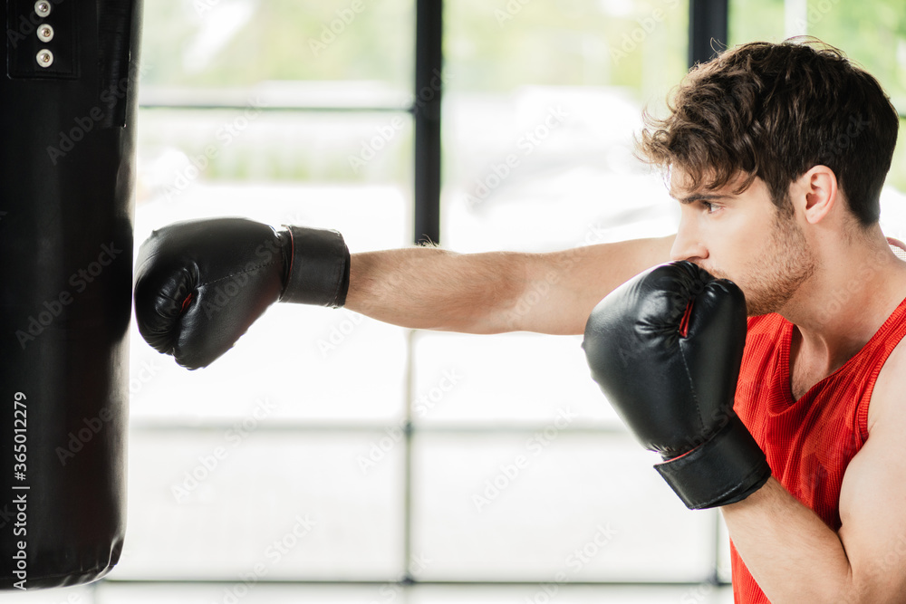 side view of athletic sportsman in boxing gloves working out with punching bag