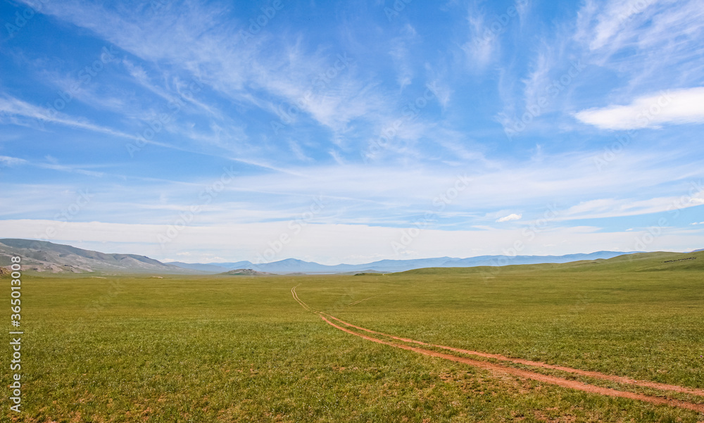 A track across a Mongolian grassland with mountains in the background