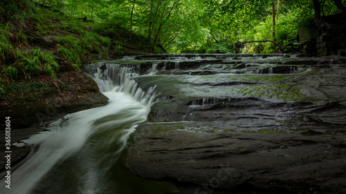 Waterfall at Holywell Dene in the county of Northumberland, England, UK. With full summer green foliage on trees.