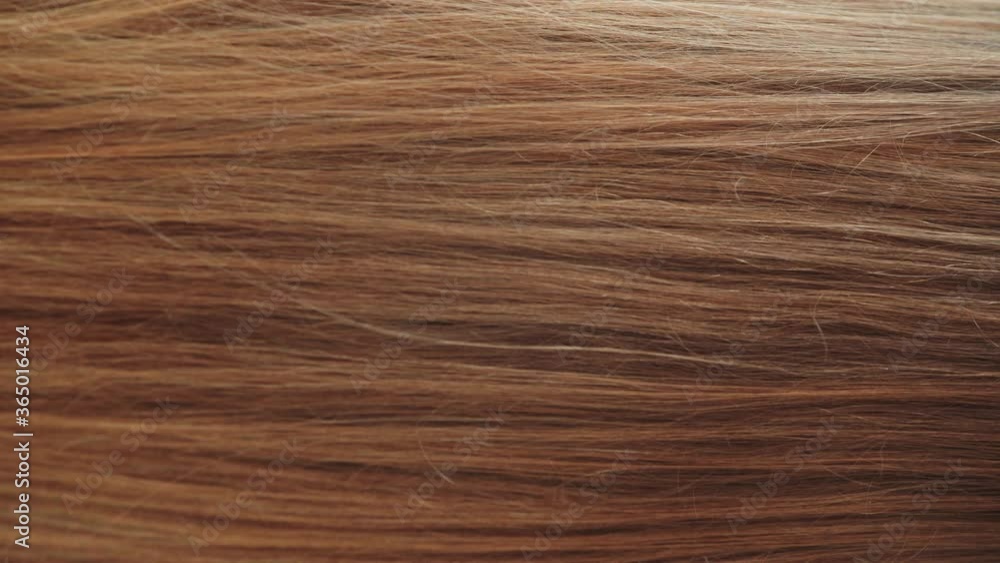 Woman touching female hair on grey background Woman touching female hair on grey background