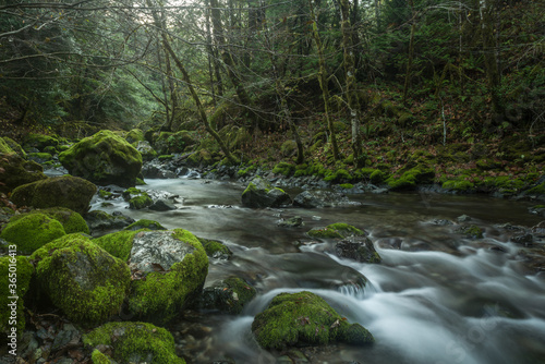River in Oregon with mossy rocks surrounded by forest. Long exposure