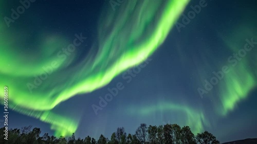 A bautiful light show on the night sky. Northern light above Alta, Norway. Green lights are dancing in the dark sky, whirling, flowing,  changing shapes and shades. photo