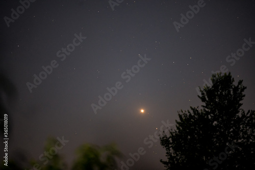 hydes constellation and planet venus in the night sky photo