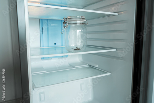 Wallpaper Mural Cockroach in a glass jar in an empty refrigerator. Poverty and lack of food concept Torontodigital.ca