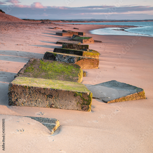 Cresswell Beach, Northumberland, England, UK. In early morning light with WW2 coastal defence concrete blocks in sand. photo