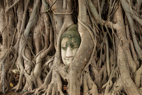 Buddha Head in Tree Roots, Wat Mahathat, Ayutthaya