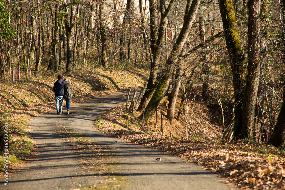 A couple giving each other a walking hug in the middle of an abandoned, rural street, in the middle of a forest. The trees have no more leaves. A concept of love and friendship on a sunny winter day.