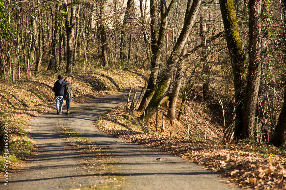 A couple giving each other a walking hug in the middle of an abandoned, rural street, in the middle of a forest. The trees have no more leaves. A concept of love and friendship on a sunny winter day. A couple giving each other a walking hug in the middle of an abandoned, rural street, in the middle of a forest. The trees have no more leaves. A concept of love and friendship on a sunny winter day.