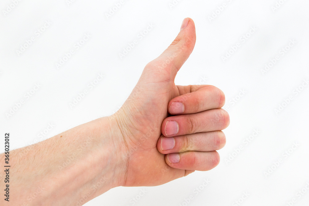 The hand of a person, showing the international symbol of positivity: a closed fist with the thumb sticking out. Thumbs up! Image taken on a white background. The hand of a person, showing the international symbol of positivity: a closed fist with the thumb sticking out. Thumbs up! Image taken on a white background.