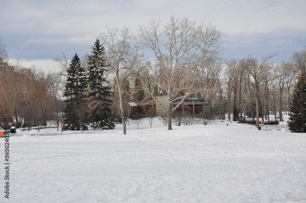 winter in the park winter in the park
