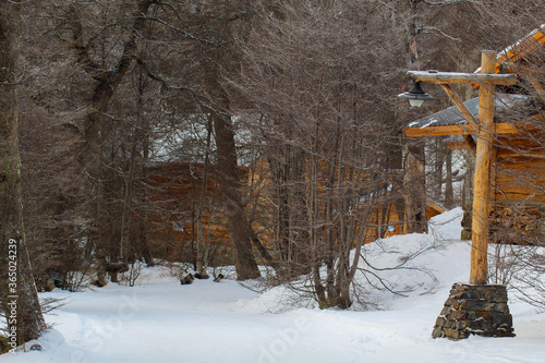 wooden house in the forest