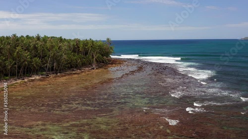 Wallpaper Mural Drone downward crane view of tide washing in on Indonesian jungle coastline Torontodigital.ca
