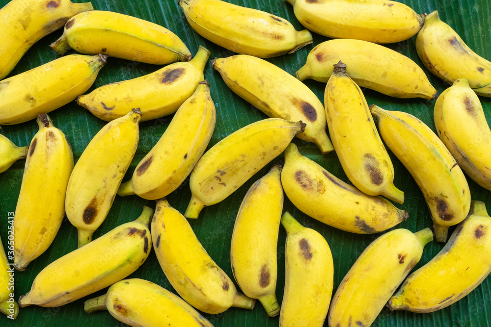 Flat lay layout of yellow bananas on a green banana leaf. Eco food Flat lay layout of yellow bananas on a green banana leaf. Eco food