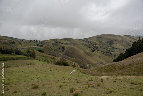 Volcano Ecuador