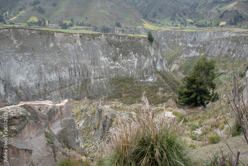 Pujili