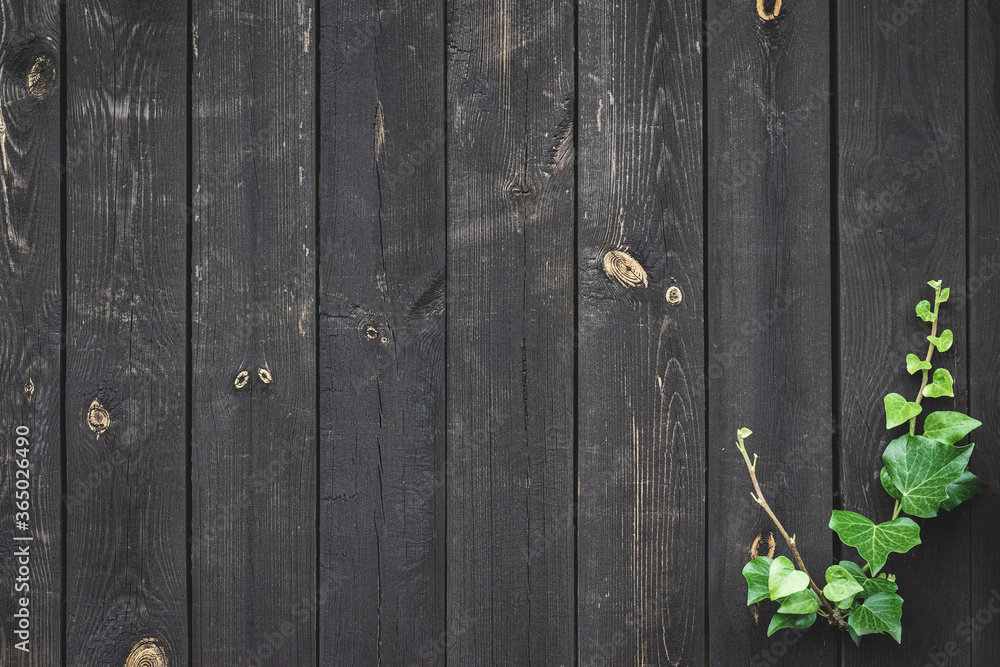 Texture background grunge. Old floor wooden pattern. Timber plank surface wall for vintage grunge wallpaper. Dark grain panel board table with copy space. Natural wood decoration concept. Texture background grunge. Old floor wooden pattern. Timber plank surface wall for vintage grunge wallpaper. Dark grain panel board table with copy space. Natural wood decoration concept.