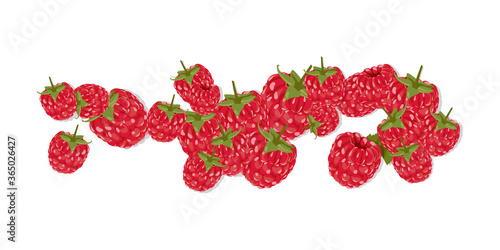 Berries with leaves Vector Illustration. Red Berry Drawing. Background design for sweets and pastries filled with raspberry, dessert menu, health care products, natural cosmetics. Falling raspberries
