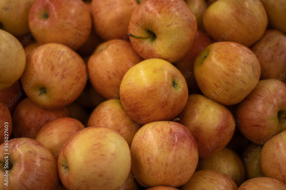 Ripe apples. Photo on the theme of fruit. Ripe apples. Photo on the theme of fruit.