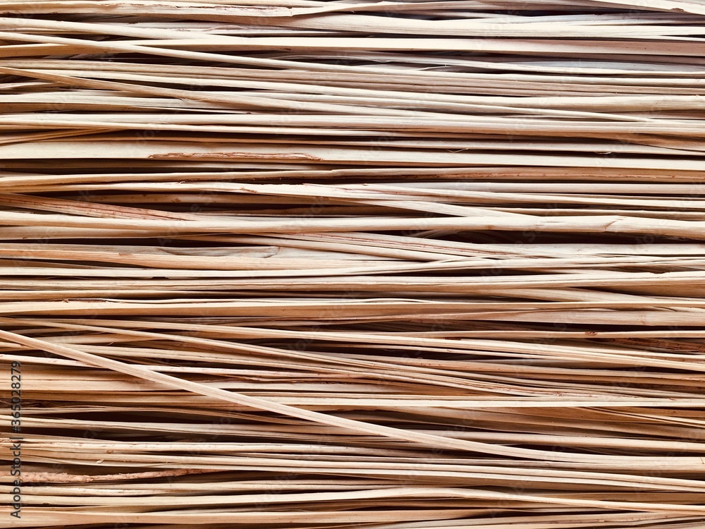 Natural straw texture. Horizontal stripes of smooth dry grass. Natural background for design.. High quality photo Natural straw texture. Horizontal stripes of smooth dry grass. Natural background for design.. High quality photo