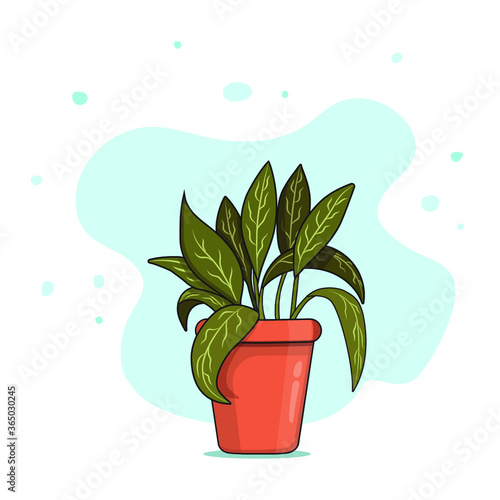 Flower in a pot