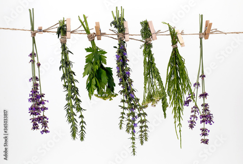 Bunches of medicinal herbs on a white background. Alternative medicine. Herbal treatment.
