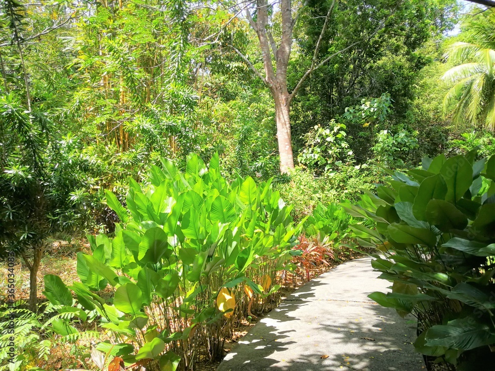 Fototapeta premium cof