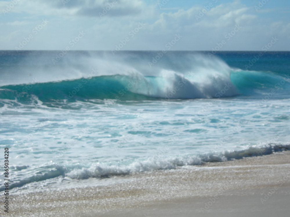 Hawaii landscape 2009