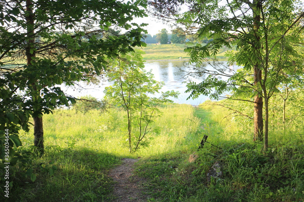 Sunny evening on the river in the countryside Sunny evening on the river in the countryside