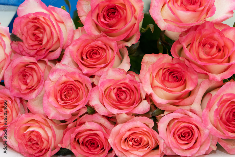 Bouquet of fresh flowers from pink-white roses Bouquet of fresh flowers from pink-white roses