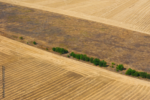 Fields and meadows. Aerial view. Landscape.