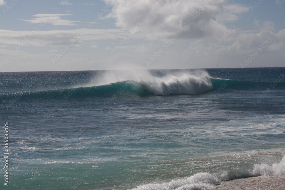 Surfers in Hawaii landscape 2009