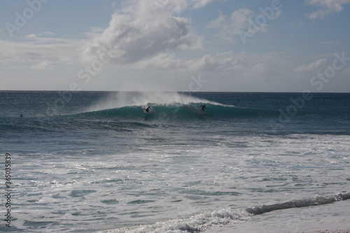 Surfers in Hawaii landscape 2009