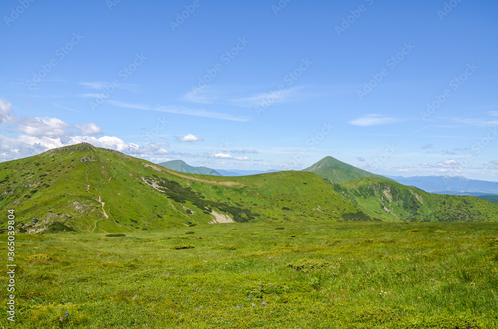 Picturesque Carpathian mountains landscape, panorama view of the Chornohora ridge with highest Ukrainian mountains Hoverla and Petros