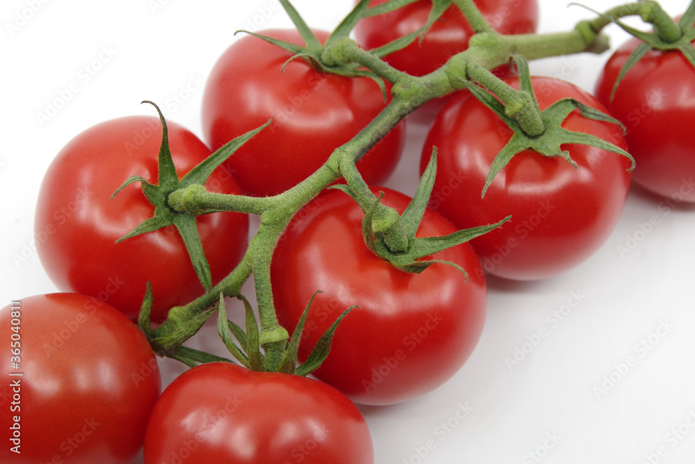 Tomato branch. Tomatoes isolated on a white background. Red tomatoes on a twig on a white background. Tomato branch. Tomatoes isolated on a white background. Red tomatoes on a twig on a white background.