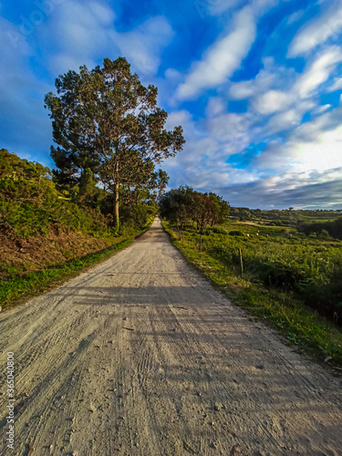 Dirt road in nature on a blue sky day