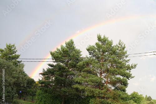 Rainbow over trees against summer sky