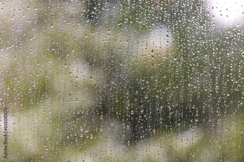 Drops of rain on the window. Copy space.