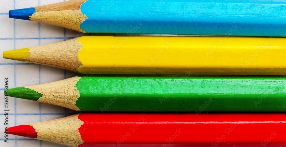 Four colored pencils on a notebook sheet in a cage. To close. Four colored pencils on a notebook sheet in a cage. To close.