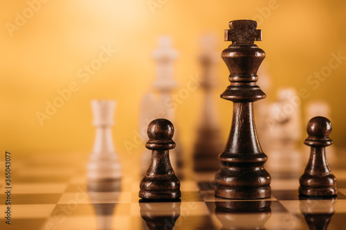 Chess on the board