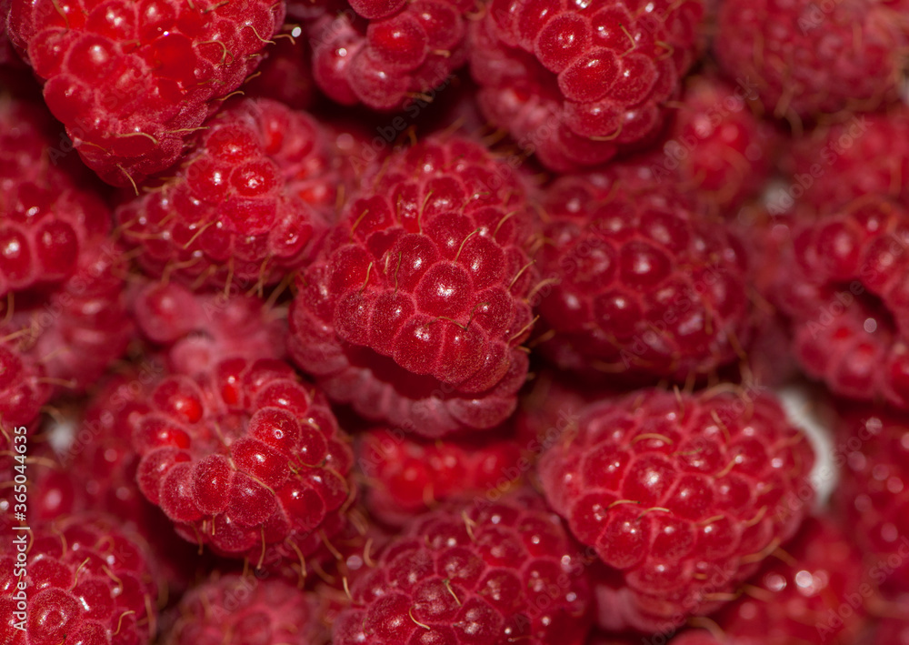 background with berries of big red raspberries
background with berries of big red raspberries