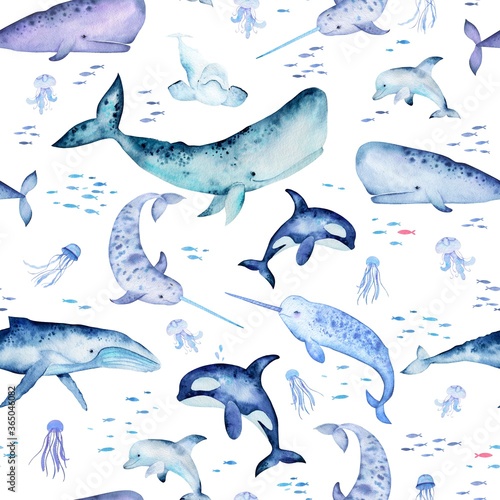 Wallpaper Mural Watercolor pattern with marine mammals