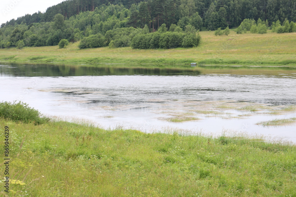 River landscape on a summer day in the village