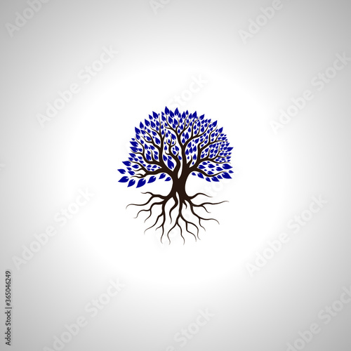 root of the tree