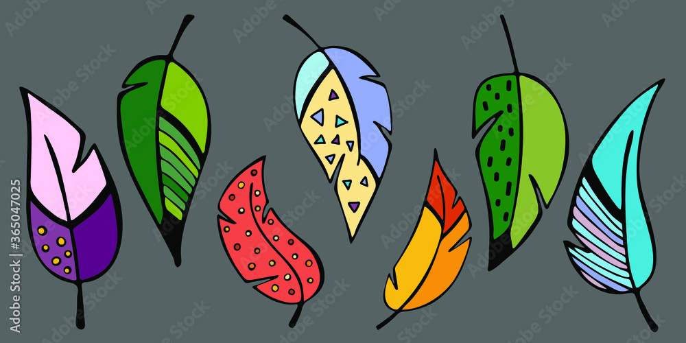 Set of multi-colored feathers in patterns. vector