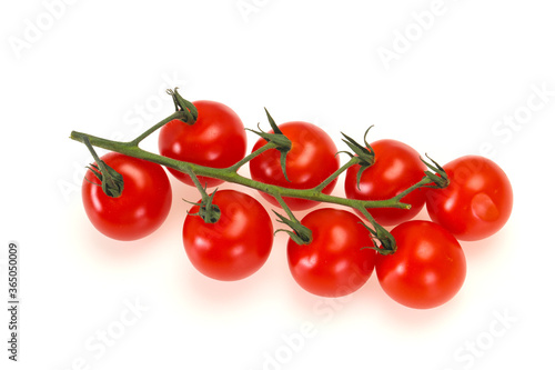 Ripe tomatoes on the branch